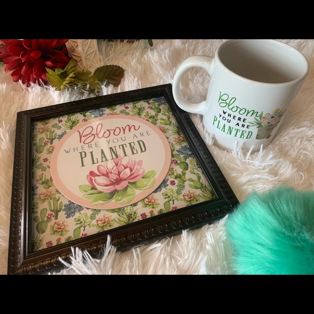 Blooms where you are planted SET  🌷🌱